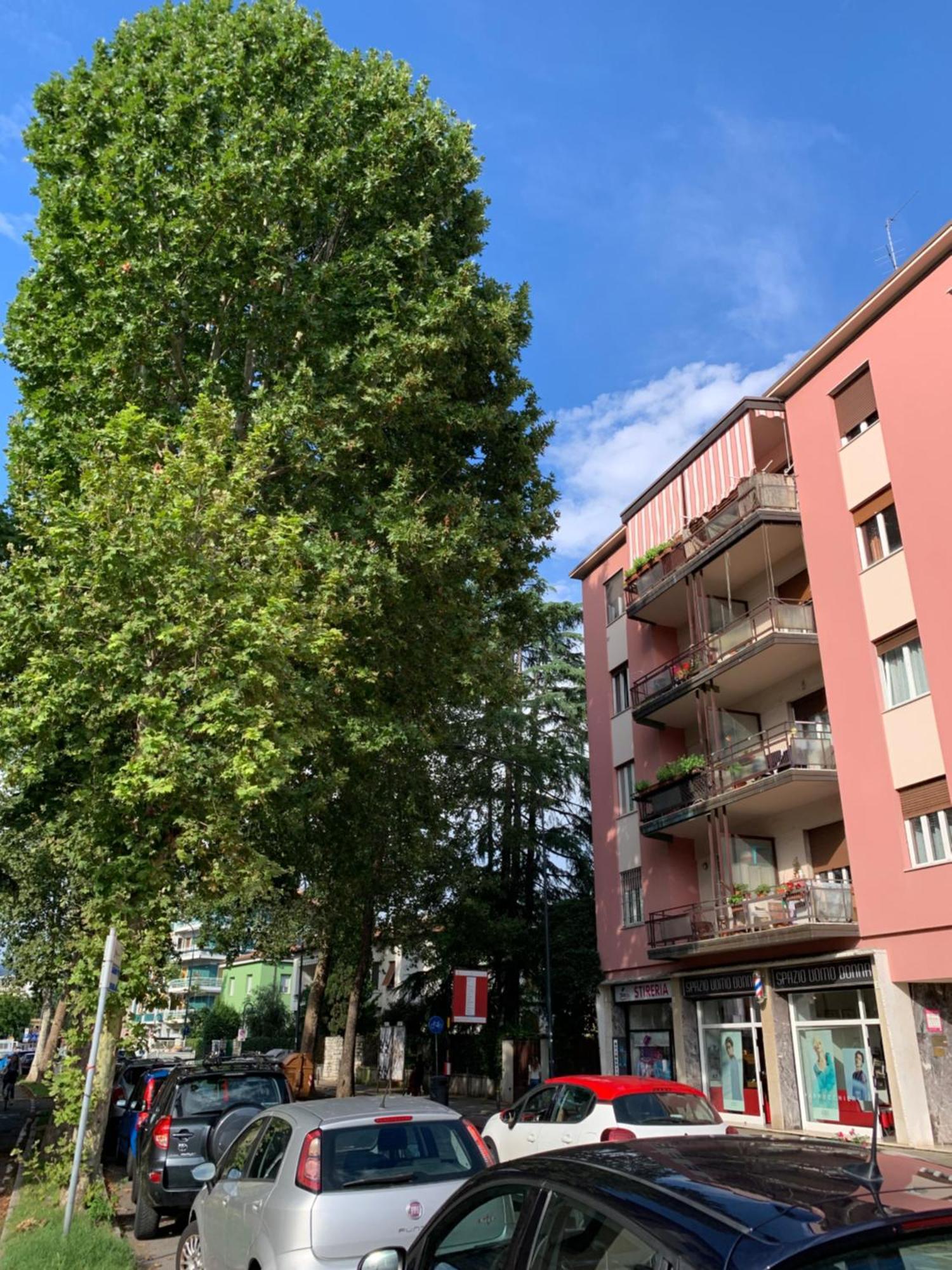 Tri Apartment Brescia Exterior photo